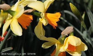 后悔的句子64句