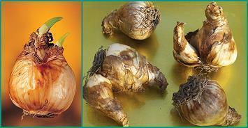 夸自己帅的话74句