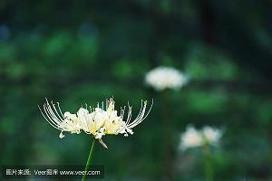 早安正能量语录短句汇编33句