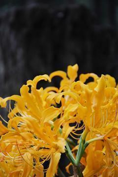 抖音伤感文案短句 对某人失望心寒的说说集合10句