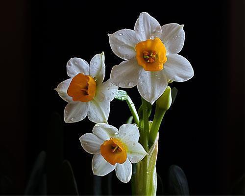 友情与金钱的屎咯咯句子