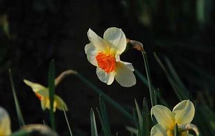 形容对工作的失望的句子