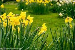 冬天的心情的短句说说大全26句