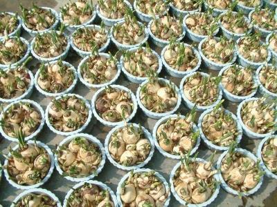 伤感经典语录 适合一个人发的伤感朋友圈合集61句