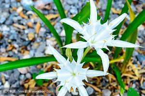 下雨天的说说 下雨天的心情经典句子(精选65句)