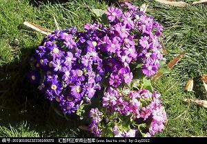 一句话表达结婚纪念日 结婚纪念日经典短句汇总62句