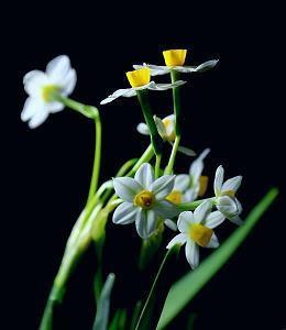 友情经不起时间的考验的句子