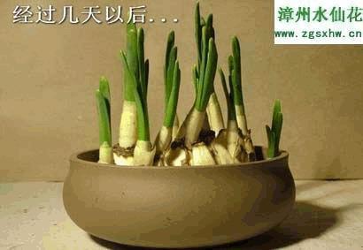 2021清明节心情低落句子文案