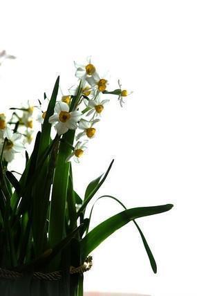 形容受委屈憋屈的句子