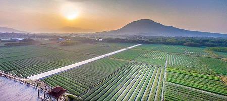 丰子恺经典语录