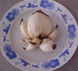 孤单唯美句子73句