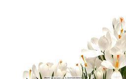 关于拒绝爱情的句子汇编74句