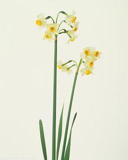 对朋友很失望的句子