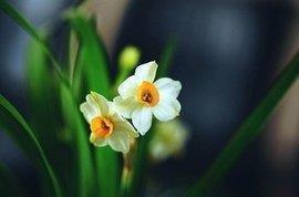 形容秋天文艺小清新句子(精选31句)