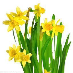 奶茶说说的简短句最新(精选25句)