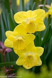 2021秋天的第一杯奶茶暖心说说(精选74句)