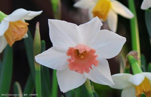 2021很有仙气的正能量句子13句