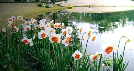 2021毕业离别的伤感句子(精选80句)