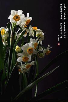 关于怀念过去的句子简短大全(精选64句)