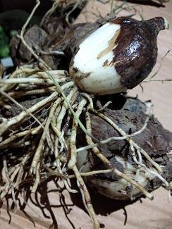 早上吸引朋友圈的句子 朋友圈早安心语(精选66句)