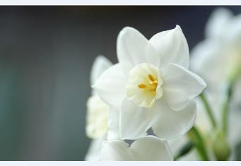 对待工作失望的句子