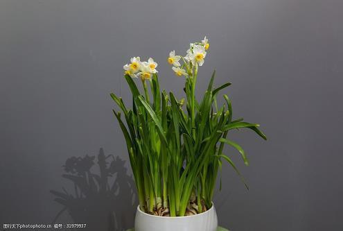 夫妻吵架后妻子对家庭失望的句子