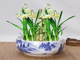 夸老婆漂亮的句子