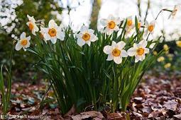 关于雪的浪漫句子25句