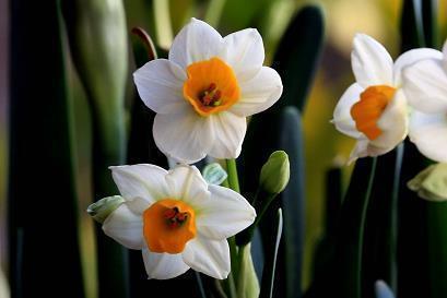 单身伤感的句子45句