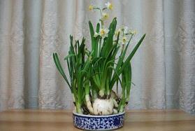 励志的句子感悟