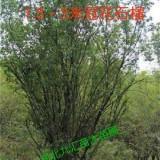 突然间有种失落感句子大全·非常好的失落朋友圈文案收录29句