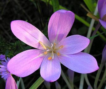 婚姻痛到心碎的句子