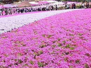 五水共治（五气合治）宣传口号