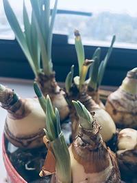 冬季降温祝福的话语 今天天气降温祝福语