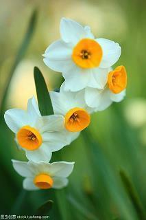 小满节气优美谚语大全汇总70句