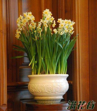 关于宽容的唯美句子71句