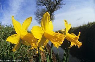 我对你失望的说说(50句)