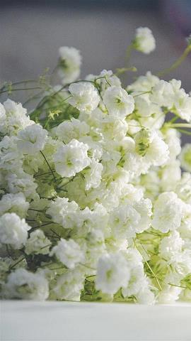 小寒节气养生微信祝福语短句