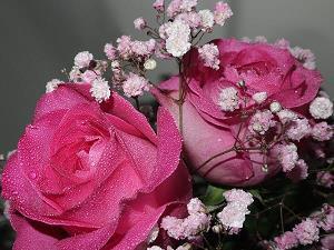 再见2020你好2021句子