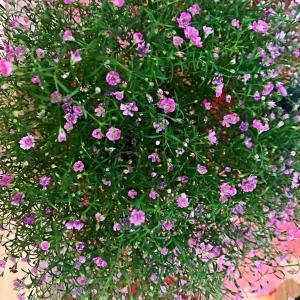 剩者为王经典语录经典语录