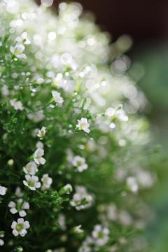 六月唯美的一句话精选30句