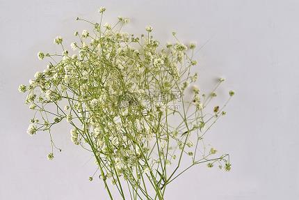 202关于健身励志文案(精选75句)