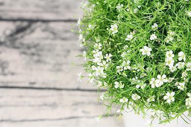 2021迎接九月励志说说句子(精选78句)