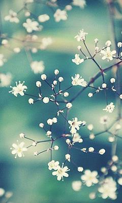 周一早安励志语录 早安心语正能量句子推荐76句