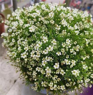 关于“早安”--元气满满的句子推荐65句