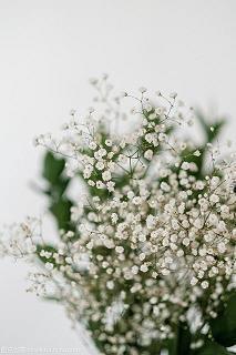 夸老婆好的句子