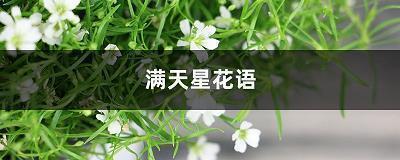 人生感悟生活心情语录集合20句