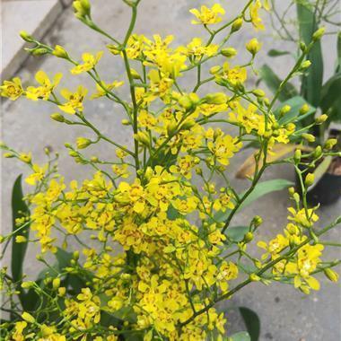 八个字酷到掉渣 女人很拽的一句话汇总81句