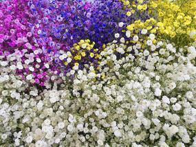 2021春节祝福语简短句子80句