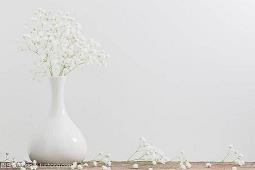 哑巴新娘语录(精选68句)